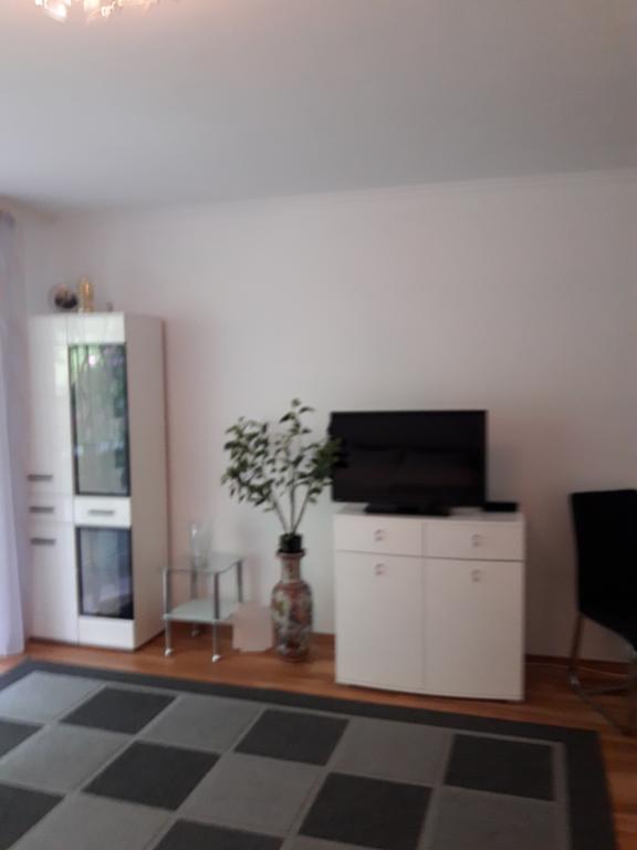 Apartment Near Villa Turgenev Baden-Baden Kültér fotó