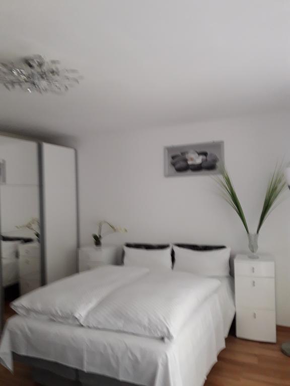 Apartment Near Villa Turgenev Baden-Baden Kültér fotó