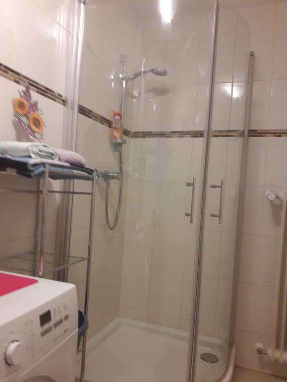 Apartment Near Villa Turgenev Baden-Baden Kültér fotó