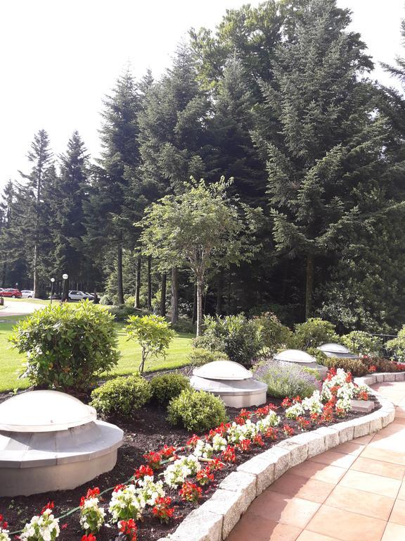 Apartment Near Villa Turgenev Baden-Baden Kültér fotó